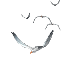 0_52b3b_db86a62b_S.jpg (150x133, 15Kb)