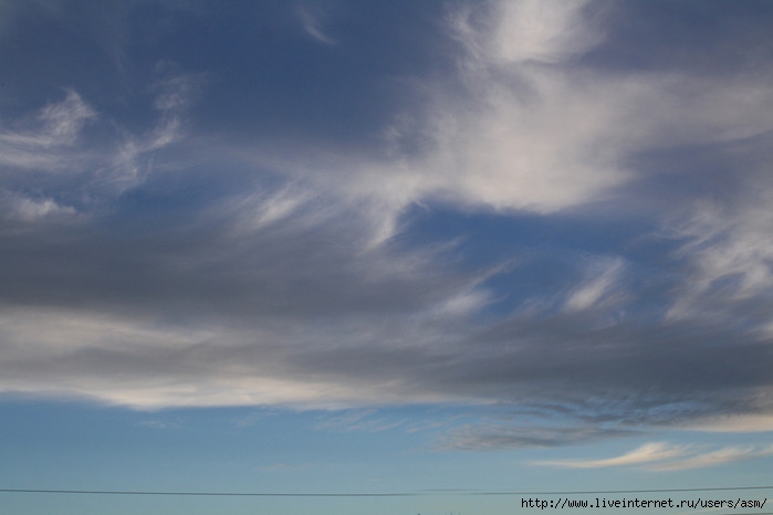 643384_IMG_2738_1024 (700x466, 115Kb)