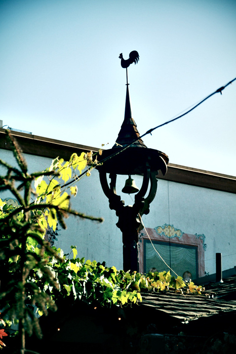 IMG_1742 (466x700, 175Kb)
