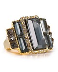  Alexis Bittar Bel Air Gold Mill Grain Ring (356x446, 39Kb)