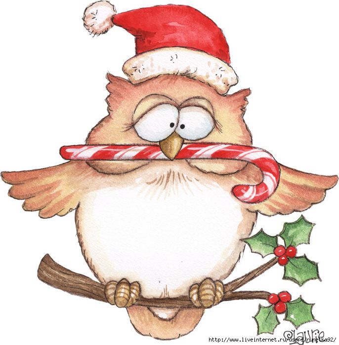Owl_Christmas (686x700, 182Kb)