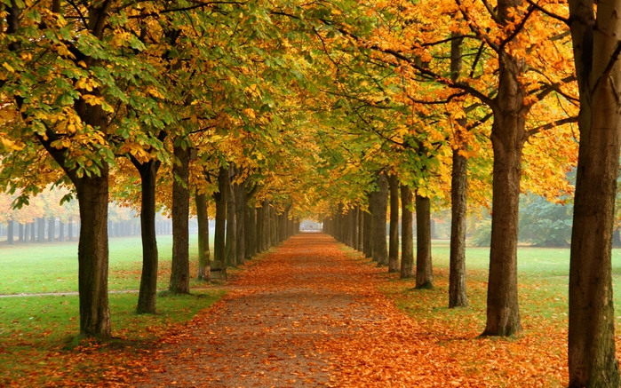 Wallpapers by Deathsoul (Amazing Nature) Part 5 1 (27) (700x437, 339Kb)