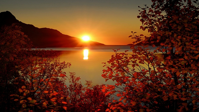 Wallpapers by Deathsoul (Amazing Nature) Part 5 1 (2) (700x393, 245Kb)