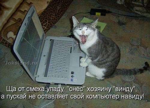 1237840380_img_16609868_4431_1 (500x360, 32Kb)