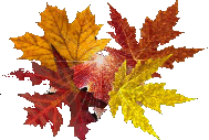 autumn-sm (3) (189x127, 102Kb)