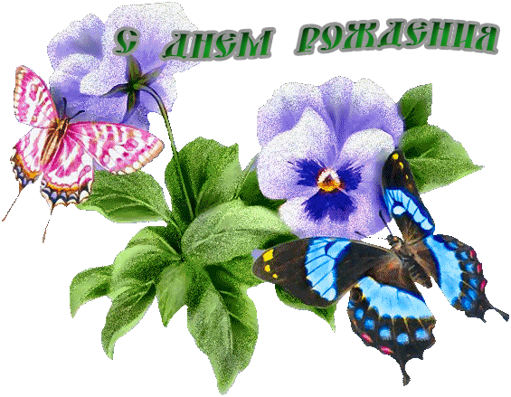 4382988_s_dnem_rojdeniya10 (565x439, 173Kb)