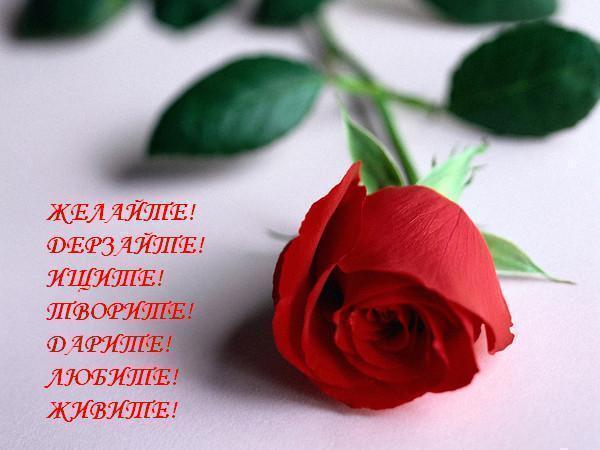, , , , ... (600x450, 32Kb)