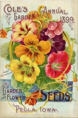 Vintage seed packet1 (267x400, 61Kb)