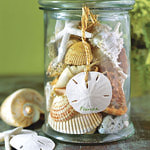  1-nice-glass-container-with-seashells-inside-easy-seashell-craft (400x400, 47Kb)