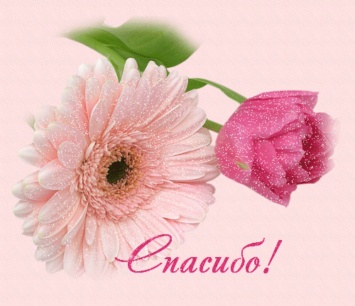 76333903_4278666_60527257_OTKRUYTKA_SPASIBO_ROZA_I_GERBERA (500x431, 385Kb)