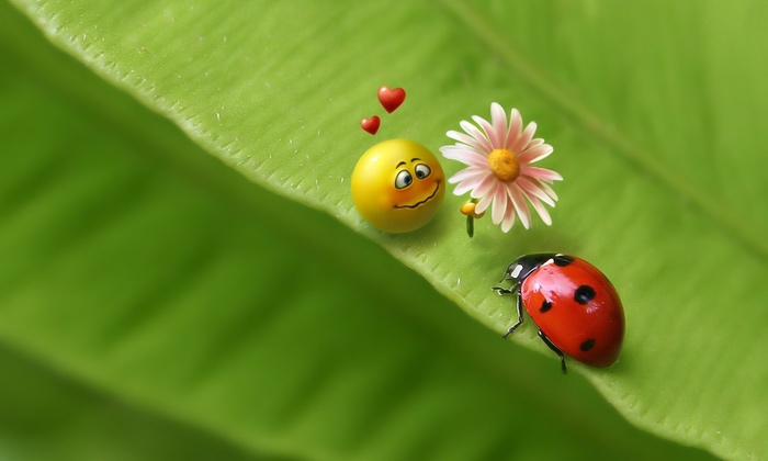 3649429_desktopwallpapers_org_ua173 (700x420, 60Kb)