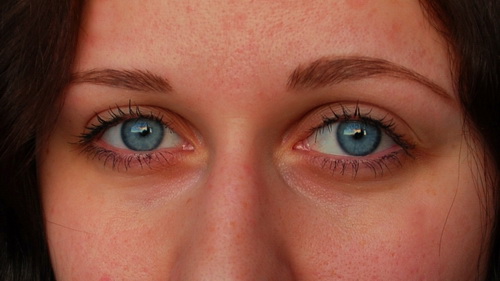 DSC_7330 (500x281, 59Kb)
