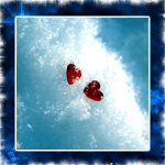 6 (150x150, 63Kb)