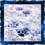 11 (150x150, 65Kb)