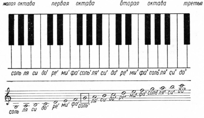 Левая клавиатура баяна с нотами фото