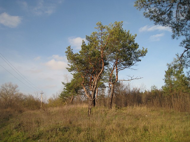 11 164 (640x480, 106Kb)