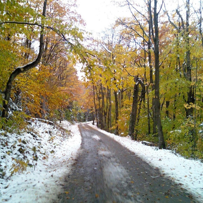 4965432_firstsnow1 (700x700, 270Kb)