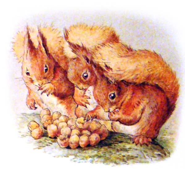 the_tale_of_squirrel_nutkin_19 (600x547, 82Kb)