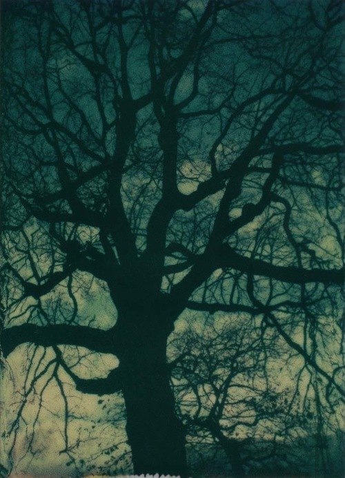 d70ZZolOtTQ (500x692, 93Kb)
