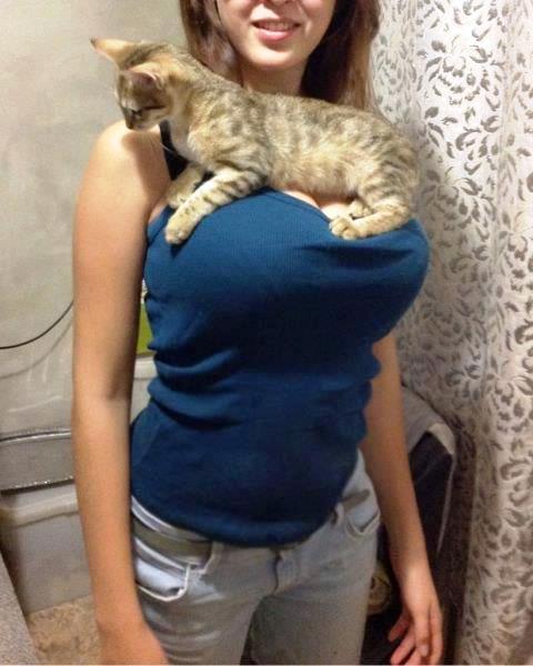  (480x600, 41Kb)