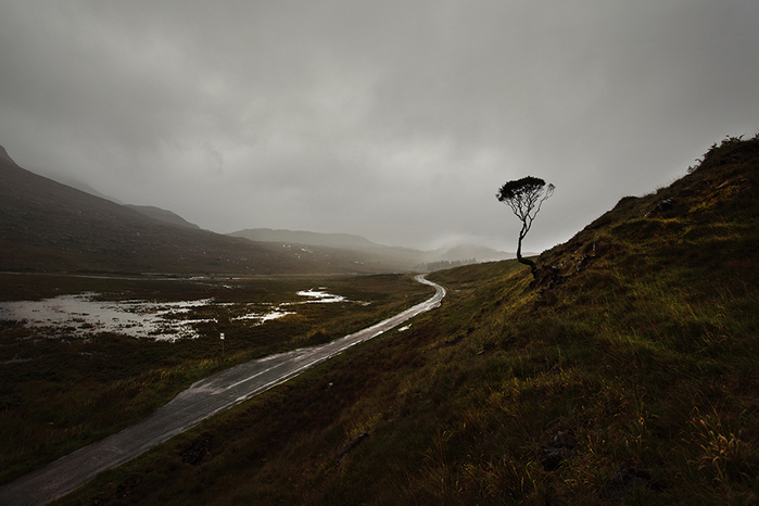 scotland (7) (700x466, 290Kb)