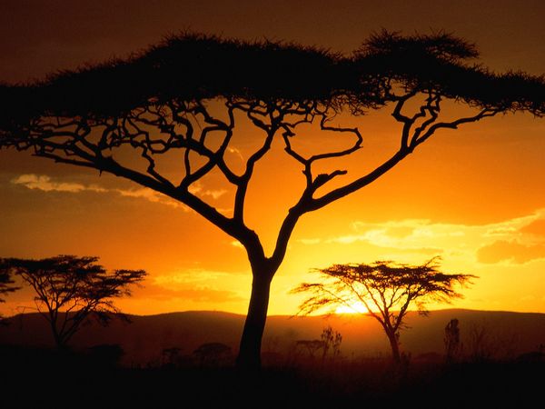 Afrika