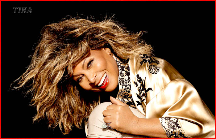 Tina Turner (1989) (700x449, 106Kb)