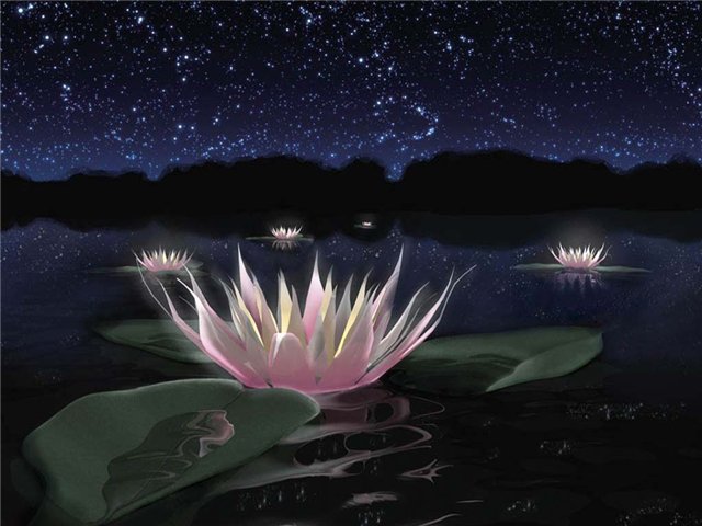  (640x480, 53Kb)