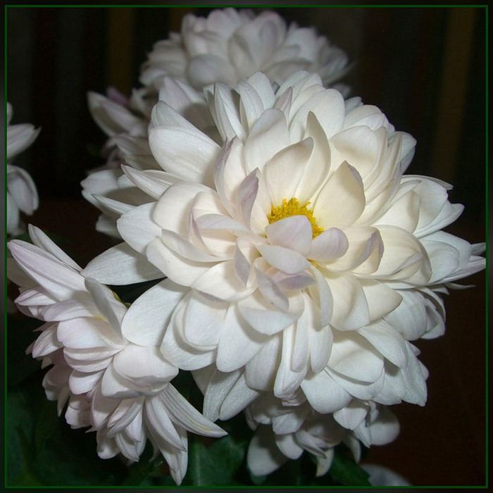 0_3c5b0_7fe86534_XL (700x700, 100Kb)