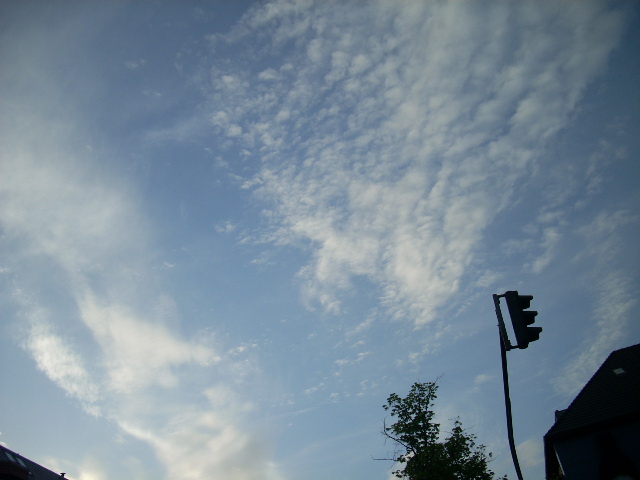 DSCN1944 (640x480, 114Kb)