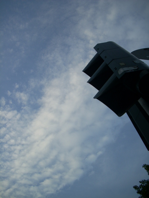 DSCN1946 (480x640, 111Kb)