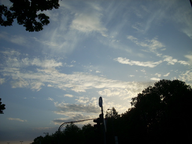 DSCN1956 (640x480, 109Kb)