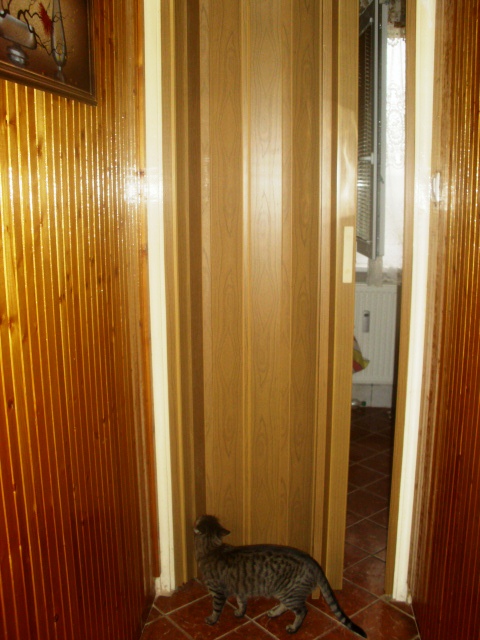 3401052_Kepd_003 (480x640, 128Kb)