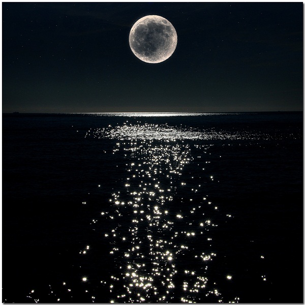 383315_original (600x600, 116Kb)