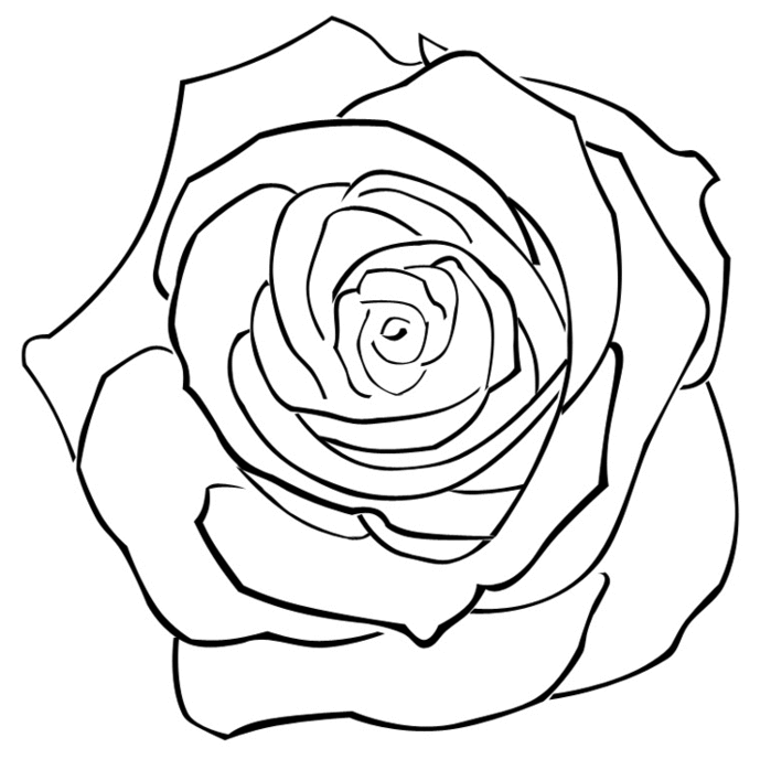rose (700x688, 62Kb)