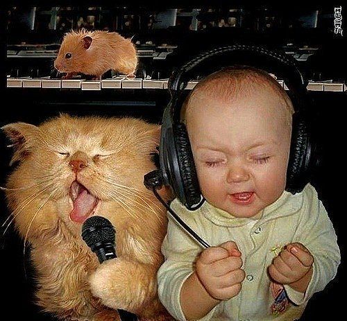 getImage (500x463, 63Kb)