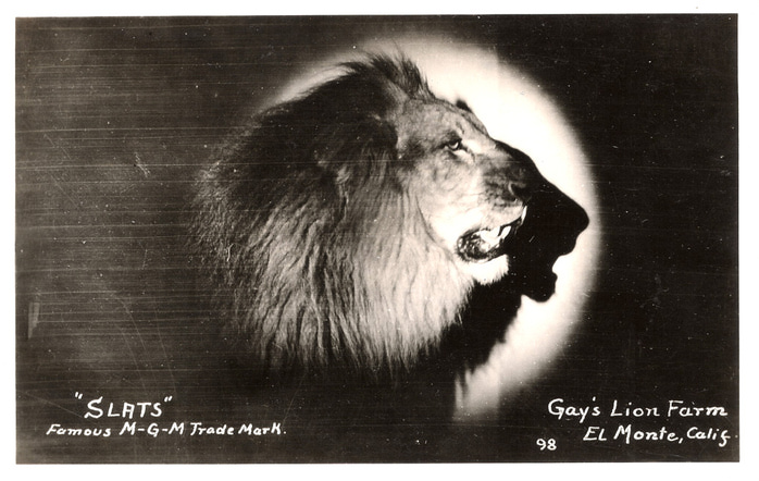 MGM-Lion-Slats (700x442, 116Kb)
