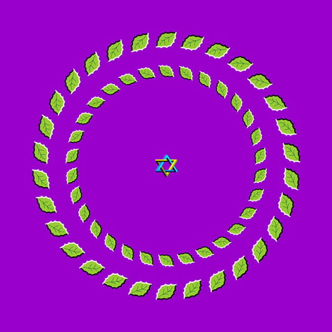 4308220_optical_illusions_of_professor_akiyoshi_4 (670x670, 63Kb)
