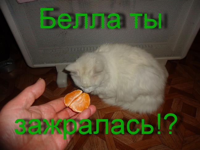    (648x486, 152Kb)