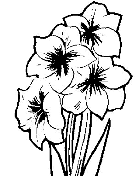 bloemen-kleurplaten-001 (457x576, 17Kb)