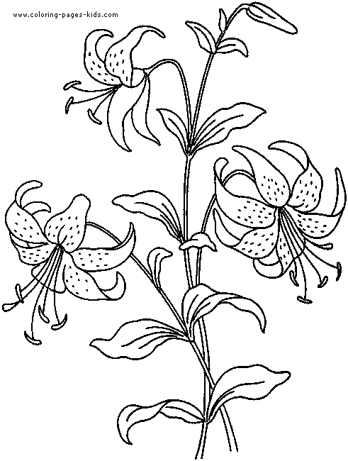 flower-coloring-page-15 (491x650, 12Kb)