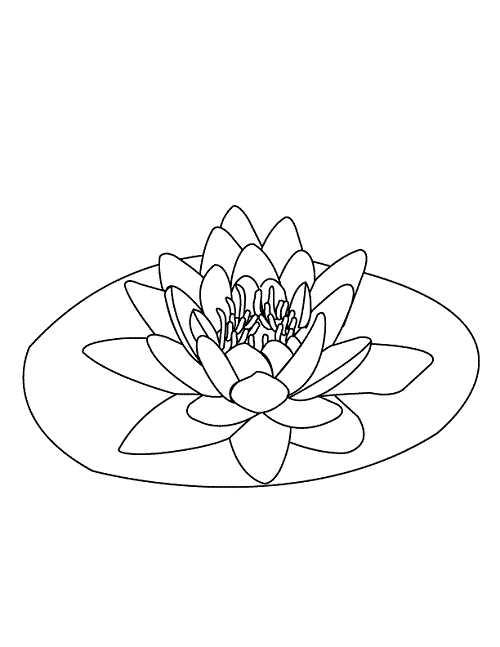 water-lily-coloring-pages-for-girls (500x647, 12Kb)