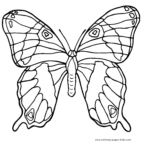 butterfly-coloring-page-012 (587x615, 15Kb)
