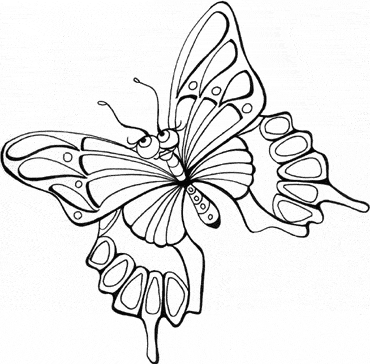 flying butterfly coloring pages (370x364, 17Kb)