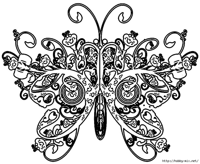78452492_butterflycoloringpageprintable (699x572, 284Kb)