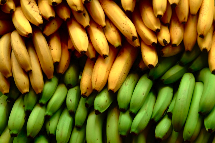 3_jpg_1345990579 (690x460, 399Kb)