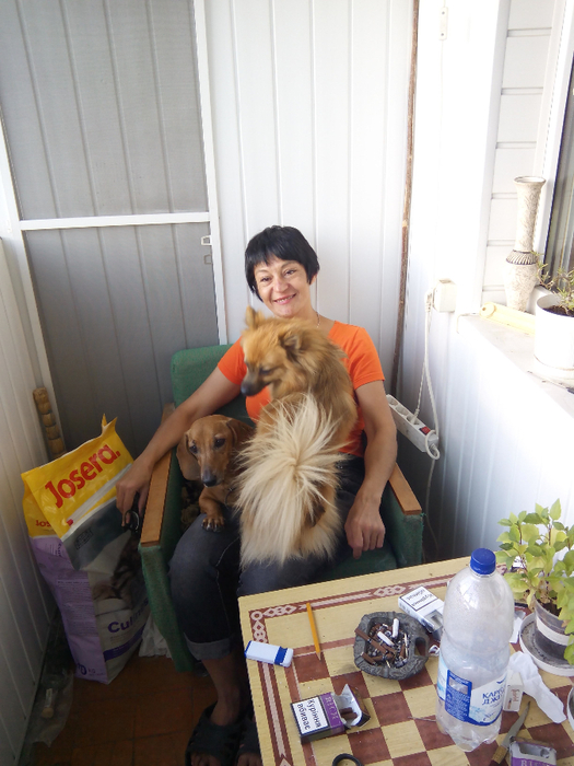 IMG_20150822_190447 (525x700, 369Kb)