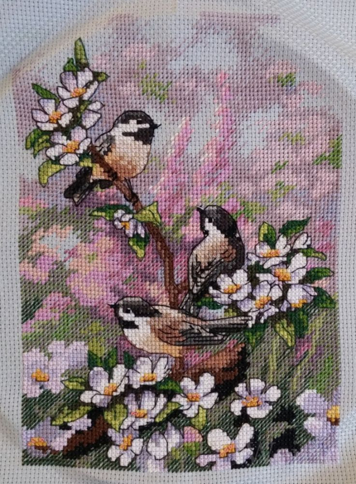 Chickadees in Spring (515x700, 445Kb)