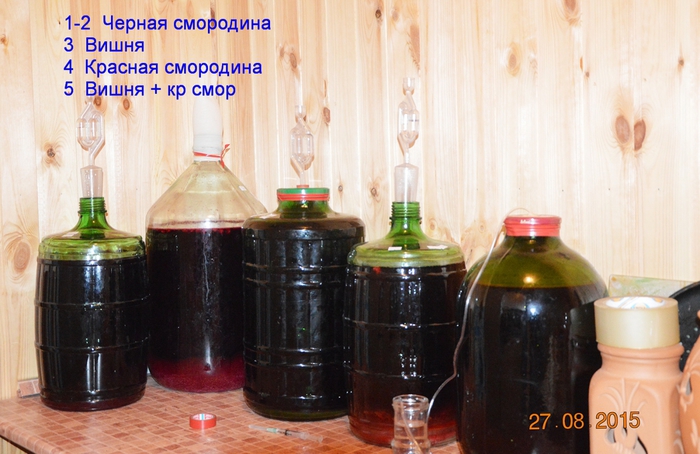 3587765_DSC_5232 (700x454, 244Kb)