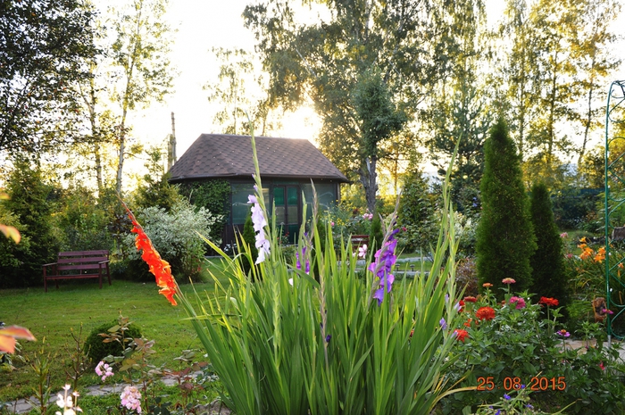 3587765_DSC_5183 (700x465, 361Kb)